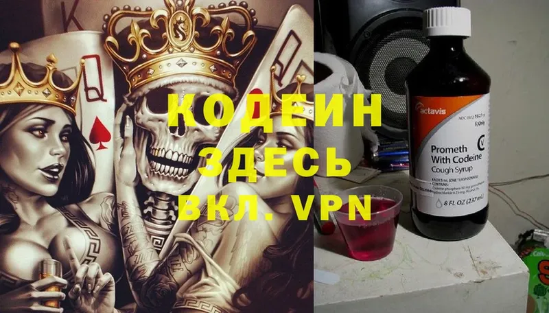 Кодеиновый сироп Lean Purple Drank  Ветлуга 