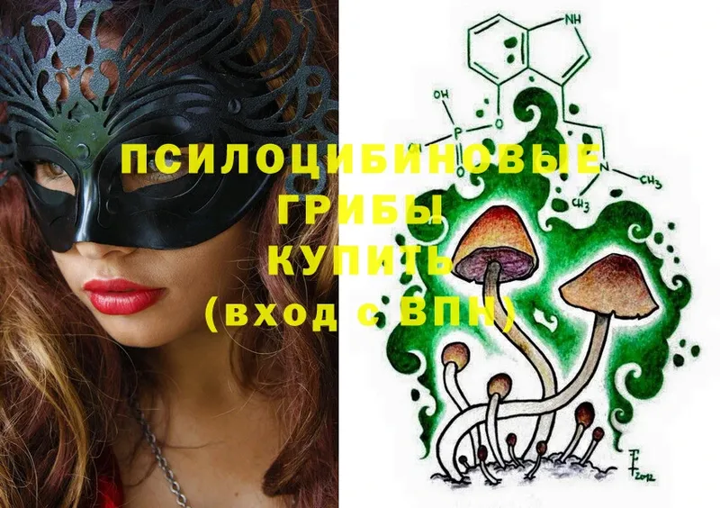 закладка  Ветлуга  Галлюциногенные грибы Cubensis 